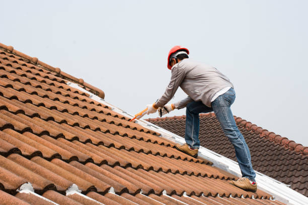 Best Roof Leak Repair  in Gleneagle, CO